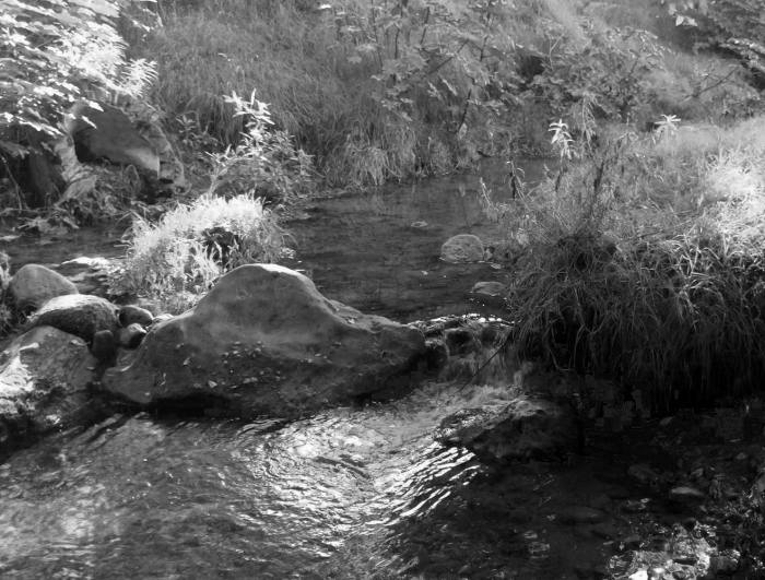 Riachuelo